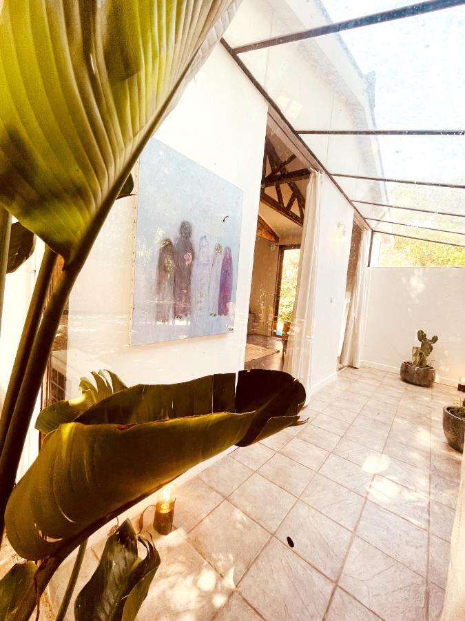 Le Patio, Jardin Privatif, Tennis Nimes Ngoại thất bức ảnh